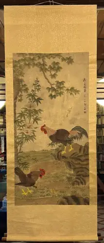 Two Chicken and Chicks.