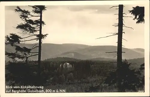 Gabelbach Thueringen Gabelbach Thueringen Berg Hotel  * / Langewiesen /Ilm-Kreis LKR