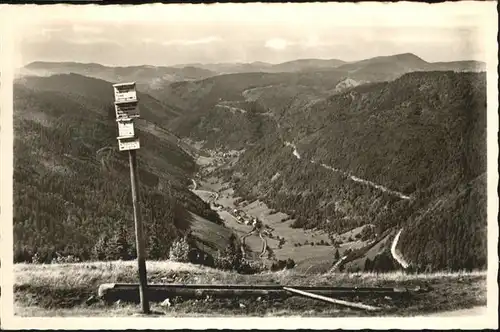 Fahl Feldberg Wiesental x / Todtnau /