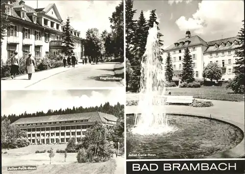 Bad Brambach Bad Brambach Julius Fucik Haus Vogltlandhaus Springbrunnen x / Bad Brambach /Vogtlandkreis LKR