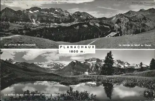 Planachaux  / Planachaux /Rg. Les Mosses