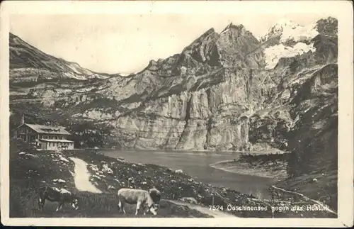 Oeschinensee  / Oeschinenhorn /Rg. Muerren