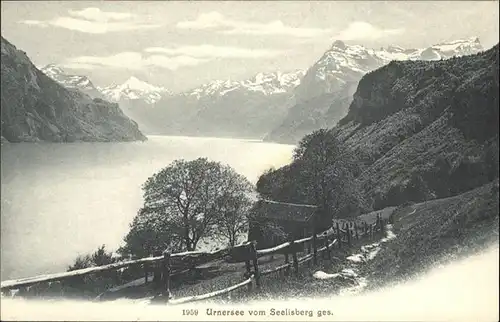 Urnersee  / Brunnen /Bz. Schwyz