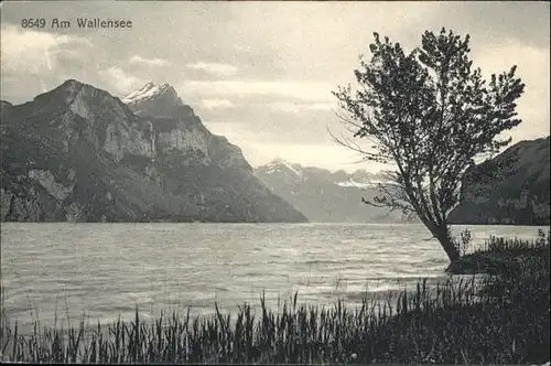 Wallensee  / Walenstadt /Bz. Sarganserland