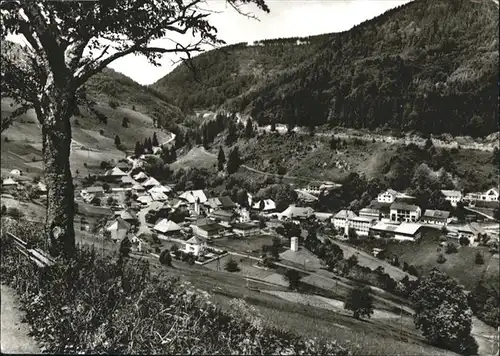 Aftersteg  / Todtnau /Loerrach LKR