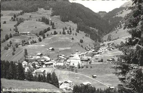 Saalbach-Hinterglemm  / Saalbach-Hinterglemm /Pinzgau-Pongau