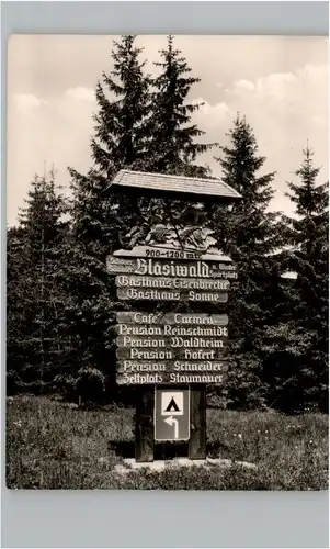 Blasiwald Blasiwald  * / Schluchsee /Breisgau-Hochschwarzwald LKR