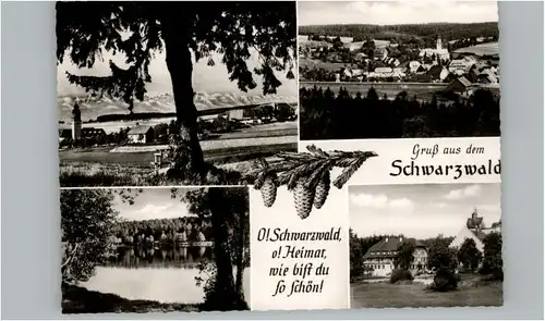 Grafenhausen Schwarzwald Grafenhausen Schwarzwald  * / Grafenhausen /Waldshut LKR