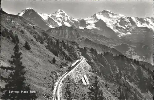 Schynige Platte Schynige Platte Zug x / Schynige Platte /Rg. Lauterbrunnen