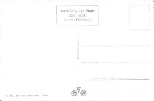 Schynige Platte Schynige Platte Zug * / Schynige Platte /Rg. Lauterbrunnen