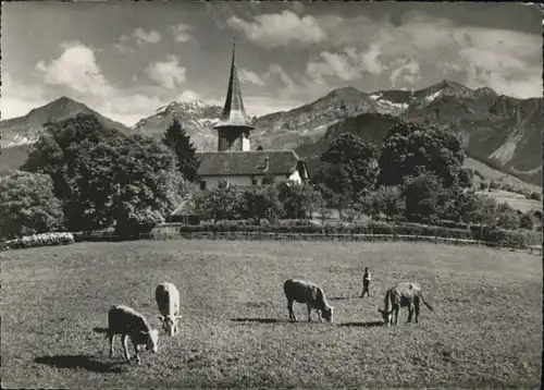 Aeschi Spiez Aeschi Spiez Kirche Morgenberghorn Schwalmern Kuehe * / Aeschi Spiez /Bz. Frutigen