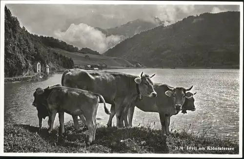 Kloental Kloental See Kuehr * / Kloental /Bz. Glarus