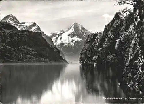 Brunnen SZ Bristenstock x / Brunnen /Bz. Schwyz