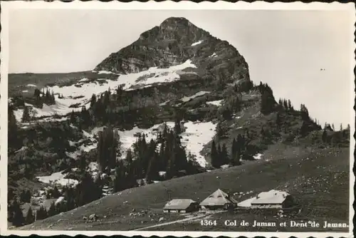 Dent de Jaman Dent de Jaman  x / Dent de Jaman /Rg. Montreux