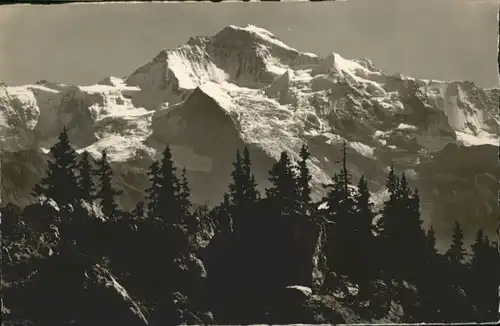 Schynige Platte Schynige Platte Jungfrau x / Schynige Platte /Rg. Lauterbrunnen