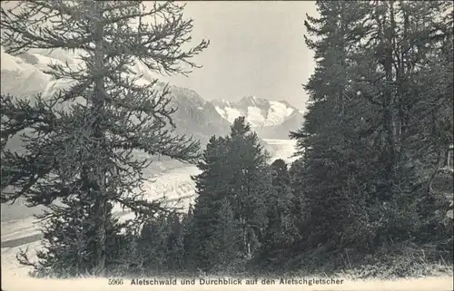 Aletschgletscher Aletschgletscher  * / Aletsch, Grosser /Rg. Rhone