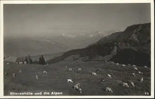 Stierenhuette Stierenhuette Kuehe * / Rueeggisberg /Bz. Seftigen