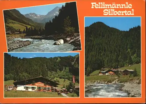 Silbertal Silbertal Montafon Fellimaennle Gasthaus * / Silbertal /Bludenz-Bregenzer Wald