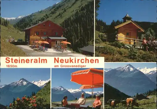 Neukirchen Grossvenediger Neukirchen Grossvenediger Gasthof Skihuette Steineralm * / Neukirchen am Grossvenediger /Pinzgau-Pongau