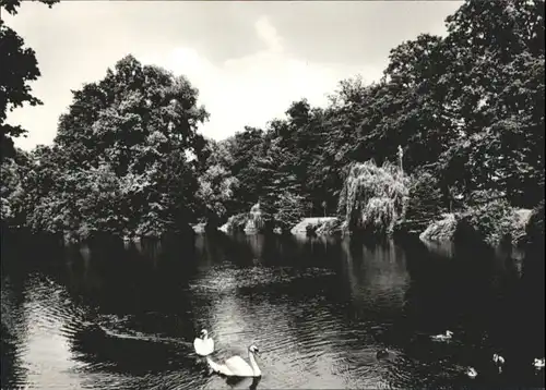 Dahme Mark Dahme Mark Schlosspark Schwan Teich * / Dahme Mark /Teltow-Flaeming LKR