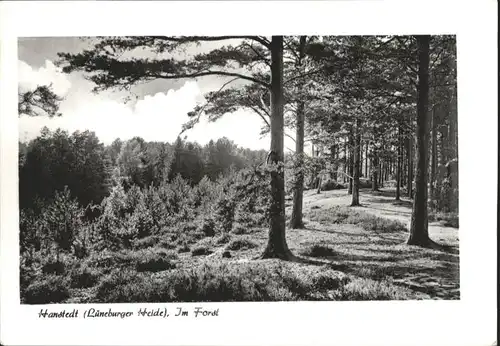 Hanstedt Nordheide Hanstedt Lueneburger Heide * / Hanstedt /Harburg LKR