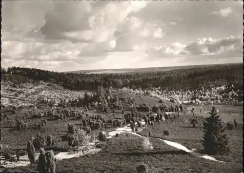 Wilsede Lueneburger Heide Wilsede Totengrund * / Bispingen /Soltau-Fallingbostel LKR