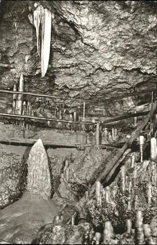 Burg Rabenstein Oberfranken Burg Rabenstein Oberfranken Sophienhoehle Bienenkorb Elefantenohr * / Ahorntal /Bayreuth LKR