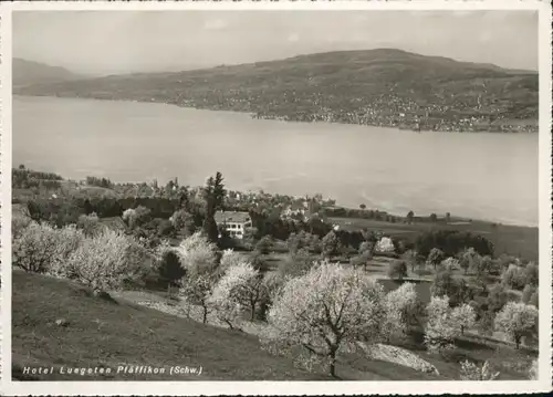 Pfaeffikon SZ Pfaeffikon SZ Hotel Luegeten * / Pfaeffikon SZ /Bz. Hoefe