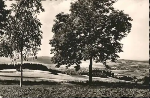 Bernsbach Bernsbach Lauter * / Bernsbach /Erzgebirgskreis LKR