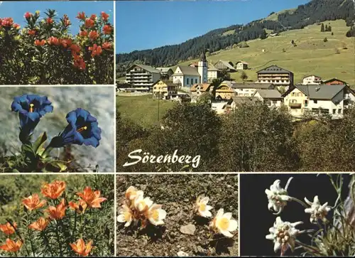 Soerenberg LU Soerenberg Blumen * / Soerenberg /Bz. Entlebuch