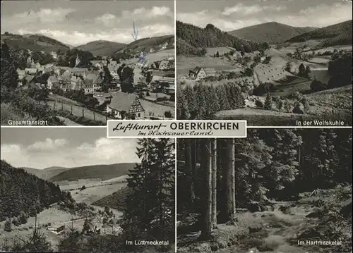 Oberkirchen Sauerland Wolfskuhle Hartmecketal Luettmecketal x