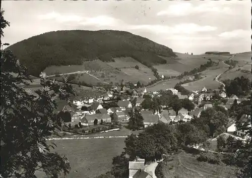 Oberkirchen Sauerland Gasthof Schuette *