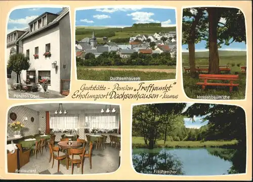Dachsenhausen Gaststaette Pension Treffpunkt *