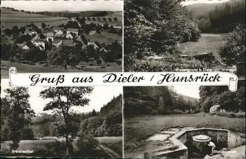 Dieler Halsenbach Stahlbrunnen Wiesengrund *