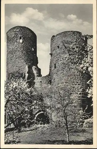 Muerlenbach Burg Tortuerme *