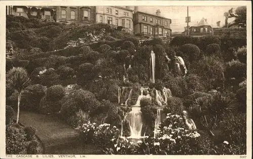 Ventnor Isle of Wight Ventnor Cascade Lilies * / Isle of Wight /Isle of Wight