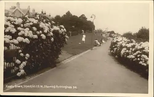 Shanklin Keats Green Shewing Hydrangeas *