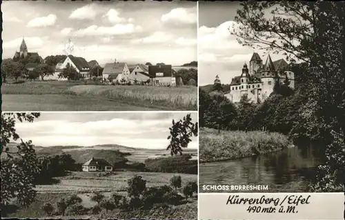 Kuerrenberg Schloss Burresheim x