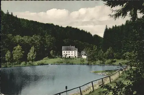 wb12490 Horhausen Westerwald Gasthof-Pension Grenzbach-Muehle Kategorie. Horhausen (Westerwald) Alte Ansichtskarten