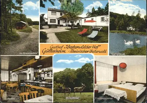 Guellesheim Westerwald Gasthof Westerwaelder Hof *