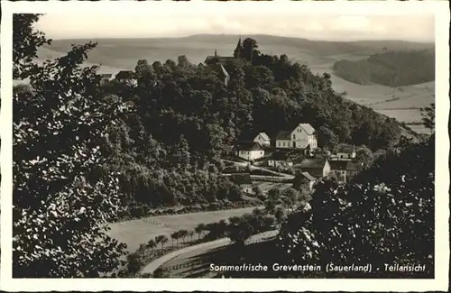 Grevenstein  *