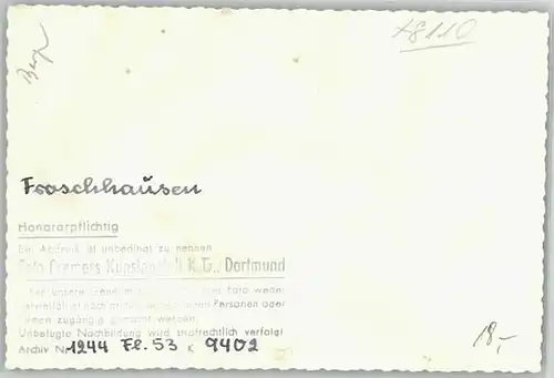 Froschhausen Staffelsee Fliegeraufnahme o 1953