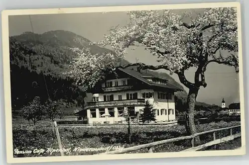 Niederaudorf Niederaudorf Cafe Alpenhof   / Oberaudorf /Rosenheim LKR