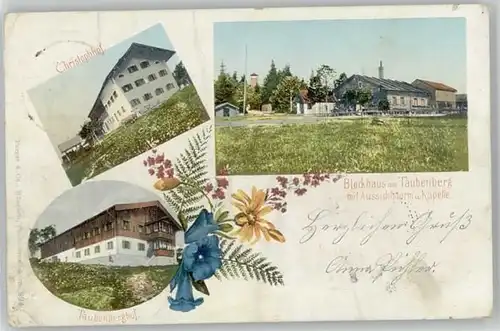 Taubenberg Taubenberg Blockhaus x 1901 / Bodolz /Lindau LKR