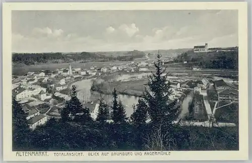 Altenmarkt Alz Altenmarkt Alz Baumburg Angermuehle ungelaufen ca. 1920 / Altenmarkt a.d.Alz /Traunstein LKR