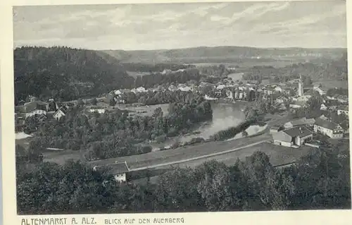 Altenmarkt Alz Altenmarkt Alz Auerberg ungelaufen ca. 1920 / Altenmarkt a.d.Alz /Traunstein LKR