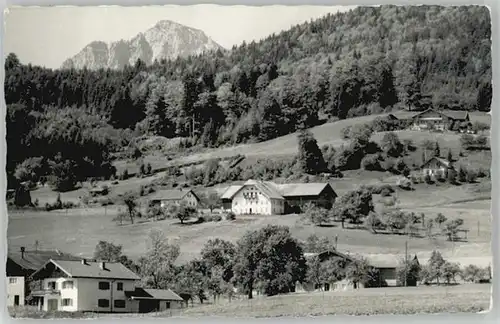 Ainring Ainring Reiteralm ungelaufen ca. 1955 / Ainring /Berchtesgadener Land LKR
