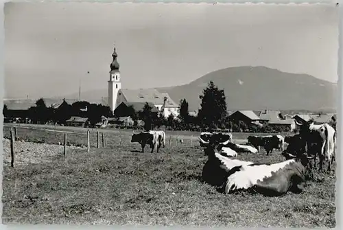 Saaldorf-Surheim  o 1959