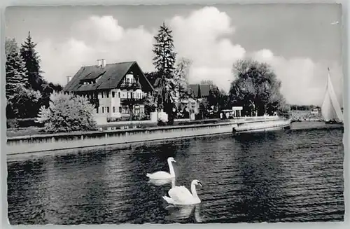 Schoendorf  x 1956