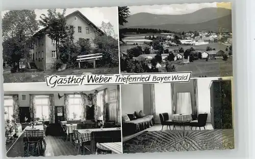 Triefenried Niederbayern Triefenried Niederbayern Gasthof Weber ungelaufen ca. 1965 / Zachenberg /Regen LKR